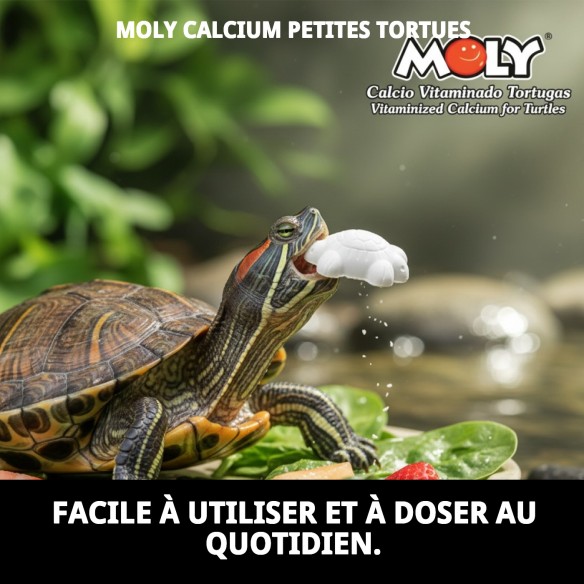 Moly Calcium pour Petites Tortues - Alimentation Idéale