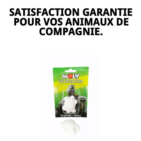 Moly Calcium pour Petites Tortues - Alimentation Idéale