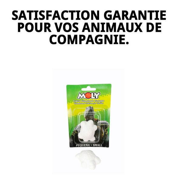 Moly Calcium pour Petites Tortues - Alimentation Idéale