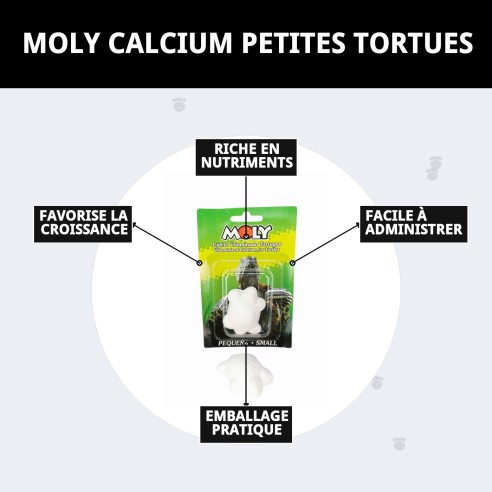 Moly Calcium pour Petites Tortues - Alimentation Idéale