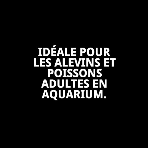 Paridera Flottante 2 en 1 Moly pour Animaux de Compagnie - 21x10x9,5 cm