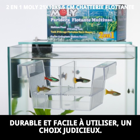 Paridera Flottante 2 en 1 Moly pour Animaux de Compagnie - 21x10x9,5 cm