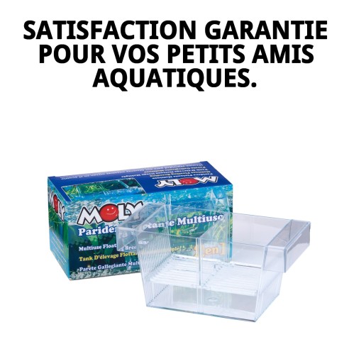 Paridera Flottante 2 en 1 Moly pour Animaux de Compagnie - 21x10x9,5 cm