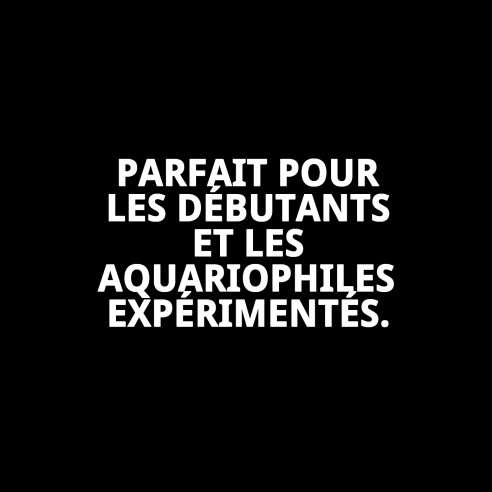 Acuario en plastique grand 30x20x21 cm pour votre animal de compagnie.