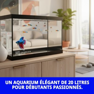 Acuarium en verre Moly 20L Kit complet pour poissons 2