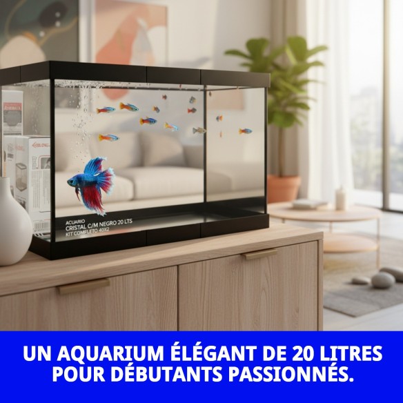 Acuarium en verre Moly 20L Kit complet pour poissons