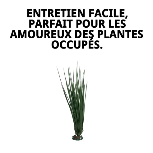 Plante Décorative 23 cm - La Touche Verte pour votre Maison