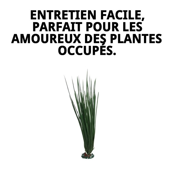 Plante Décorative 23 cm - La Touche Verte pour votre Maison