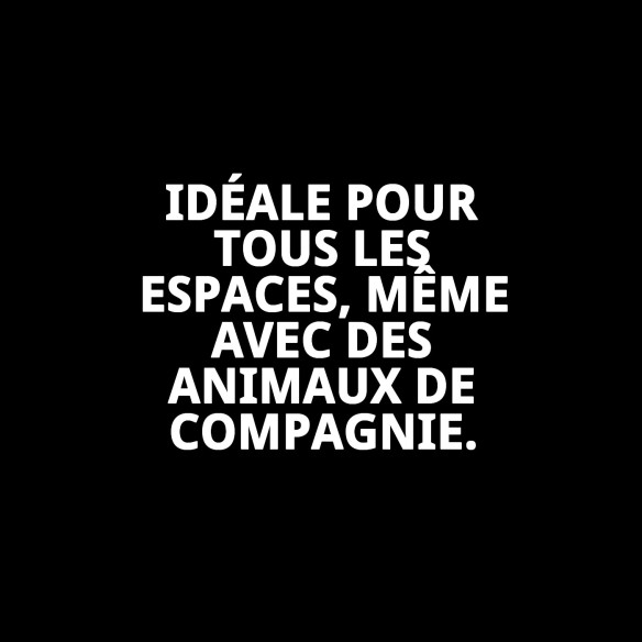 Plante Décorative 23 cm - La Touche Verte pour votre Maison