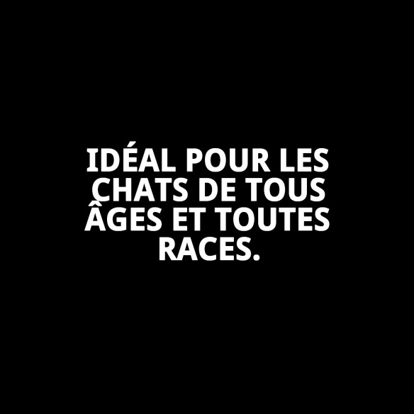 Jouet Souris à Ressort pour Divertissement Familial des Animaux de Compagnie