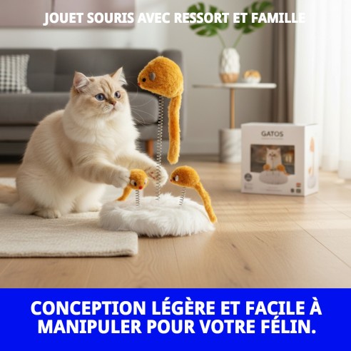 Jouet Souris à Ressort pour Divertissement Familial des Animaux de Compagnie