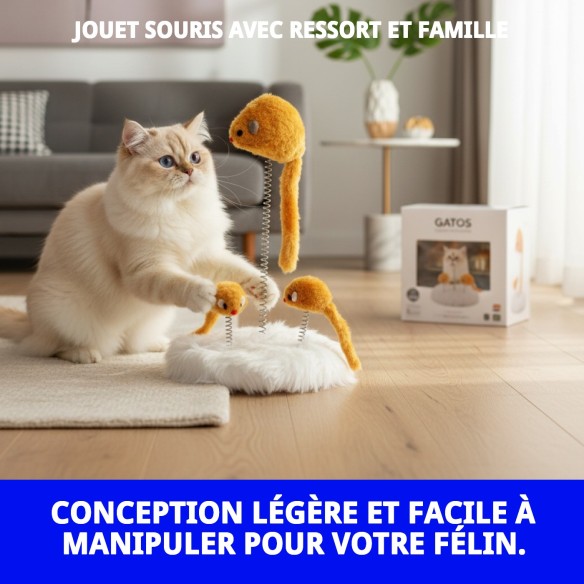 Jouet Souris à Ressort pour Divertissement Familial des Animaux de Compagnie
