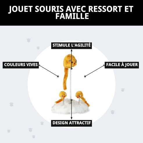 Jouet Souris à Ressort pour Divertissement Familial des Animaux de Compagnie