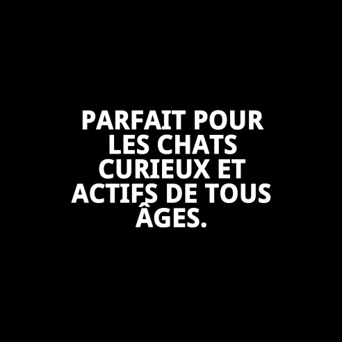 Escaladeur Modèle Florida 92cm : Amusement et Style pour votre Animal de Compagnie