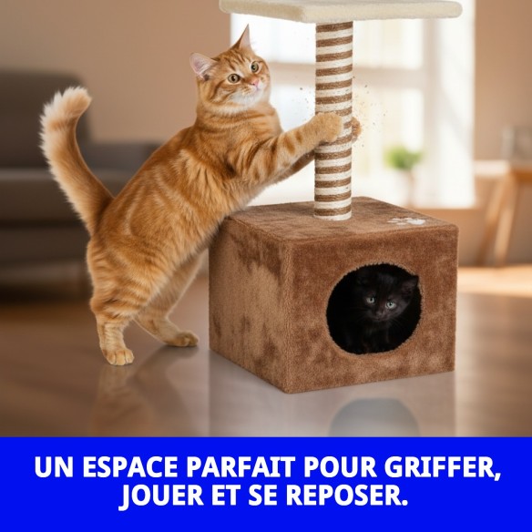 Grattoir pour chats Kenya 67 cm, confortable et compact