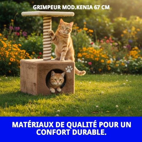 Grattoir pour chats Kenya 67 cm, confortable et compact