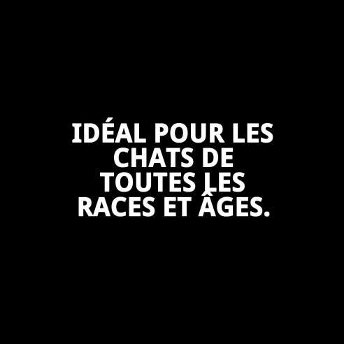 Maisonnette Cathy Easy Clean pour Chats - Hygiénique et Pratique