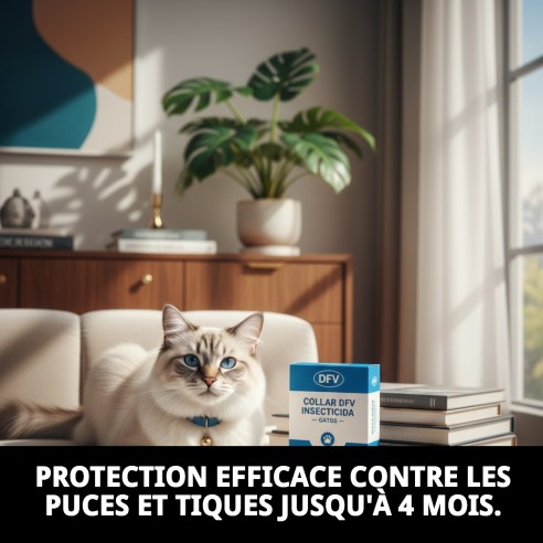 Collier DFV Insecticide : Protection Efficace pour votre Chien