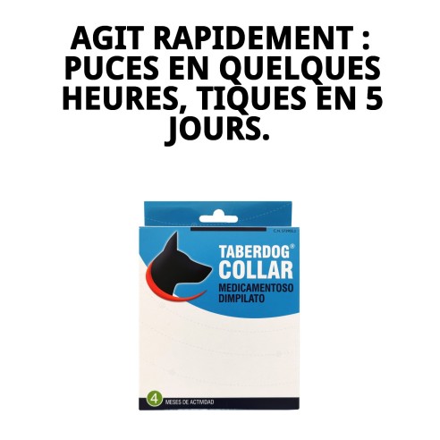Collier DFV Insecticide : Protection Efficace pour votre Chien