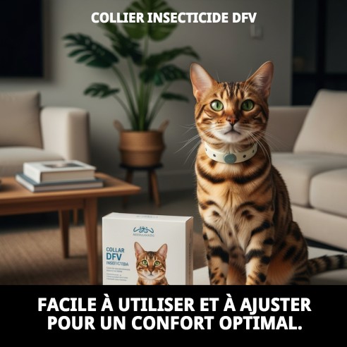Collier DFV Insecticide : Protection Efficace pour votre Chien