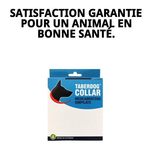 Collier DFV Insecticide : Protection Efficace pour votre Chien