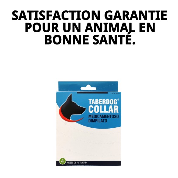 Collier DFV Insecticide : Protection Efficace pour votre Chien