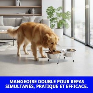 Gamelle Double 16,5 cm avec Support pour Animaux de Compagnie 2