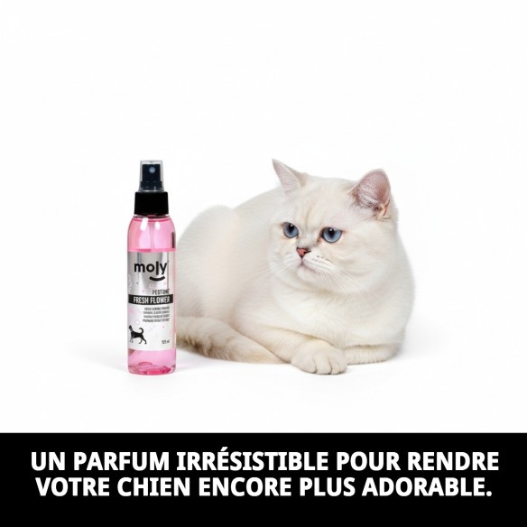 Parfum Fleurs Fraîches pour Animaux - Parfum Délicieux 125ml