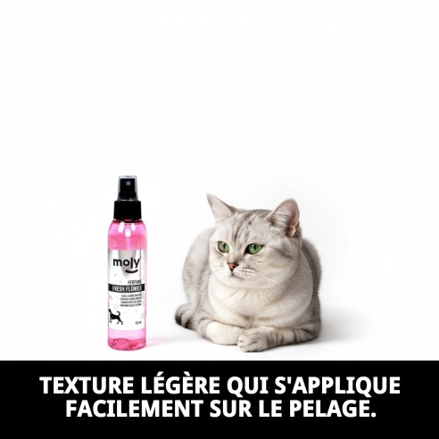 Parfum Fleurs Fraîches pour Animaux - Parfum Délicieux 125ml
