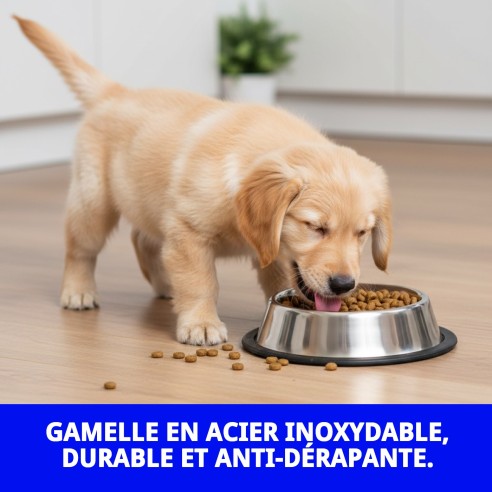 Bol en Acier Inoxydable Antidérapant pour Animaux de Compagnie