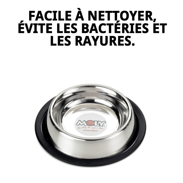 Bol en Acier Inoxydable Antidérapant pour Animaux de Compagnie