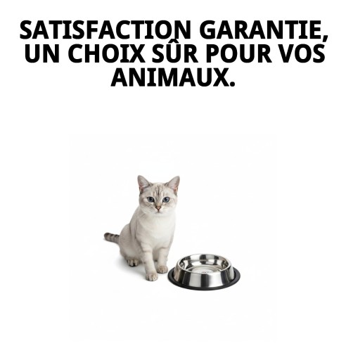 Bol en Acier Inoxydable Antidérapant pour Animaux de Compagnie