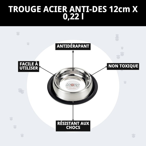 Bol en Acier Inoxydable Antidérapant pour Animaux de Compagnie