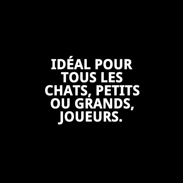 Balle Interactive pour Chats - Amusement Garanti 9,5 CM