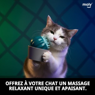 Masqueur pour Chats : Détente et Bien-être Félin 2