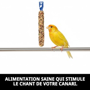 Barres Canto pour Canaris - Énergie et Amusement 2 Unités. 2