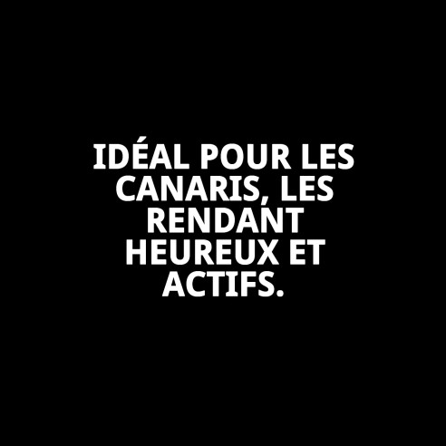 Barres Canto pour Canaris - Énergie et Amusement 2 Unités.