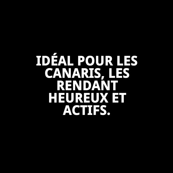Barres Canto pour Canaris - Énergie et Amusement 2 Unités.