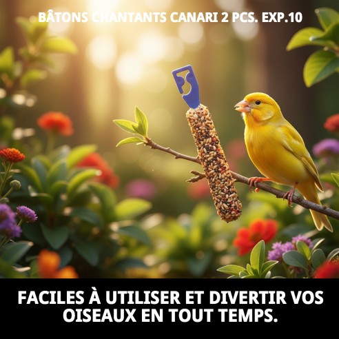 Barres Canto pour Canaris - Énergie et Amusement 2 Unités.