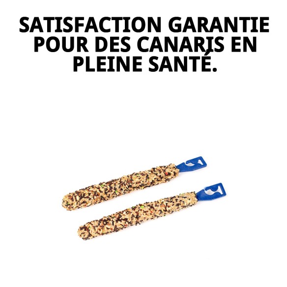 Barres Canto pour Canaris - Énergie et Amusement 2 Unités.