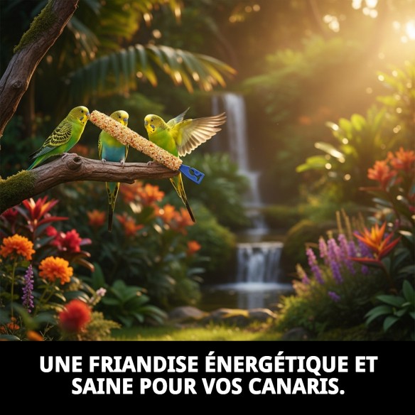 Barres Muda pour Perroquets - Snack Énergétique 2 Unités