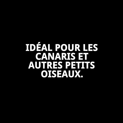 Barres Muda pour Perroquets - Snack Énergétique 2 Unités