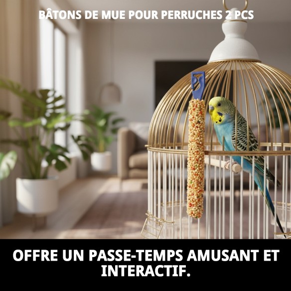 Barres Muda pour Perroquets - Snack Énergétique 2 Unités