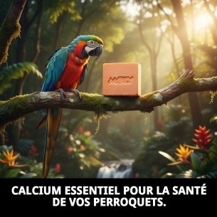 Moly Calcium pour Perroquets 150g - Vitalité et Santé Aviaire 2