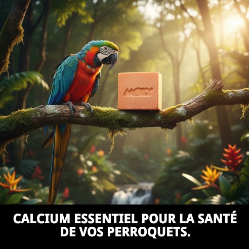 Moly Calcium pour Perroquets 150g - Vitalité et Santé Aviaire