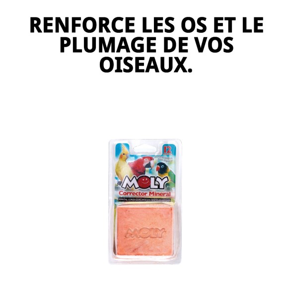 Moly Calcium pour Perroquets 150g - Vitalité et Santé Aviaire