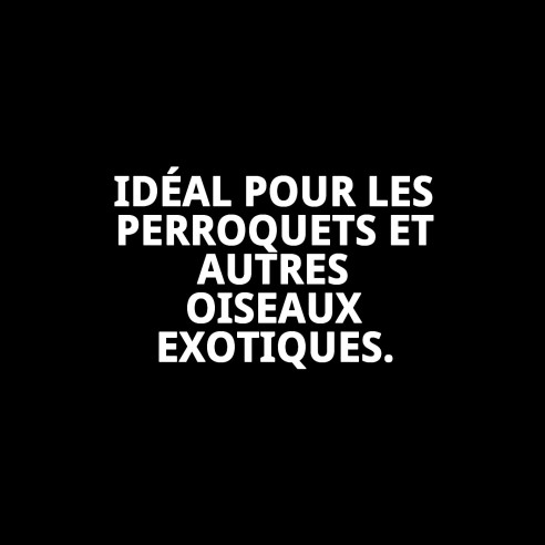 Moly Calcium pour Perroquets 150g - Vitalité et Santé Aviaire