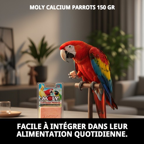 Moly Calcium pour Perroquets 150g - Vitalité et Santé Aviaire