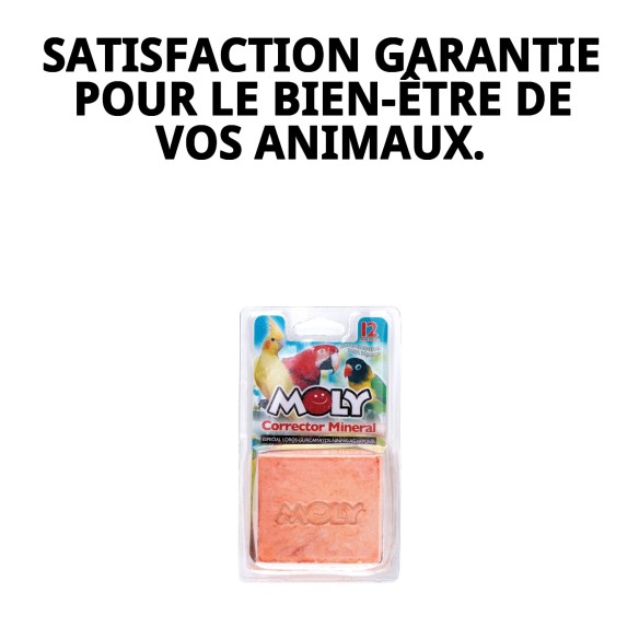 Moly Calcium pour Perroquets 150g - Vitalité et Santé Aviaire