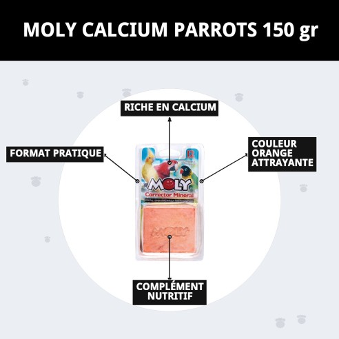 Moly Calcium pour Perroquets 150g - Vitalité et Santé Aviaire